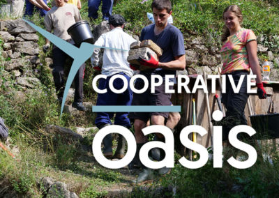 Cooperative Oasis