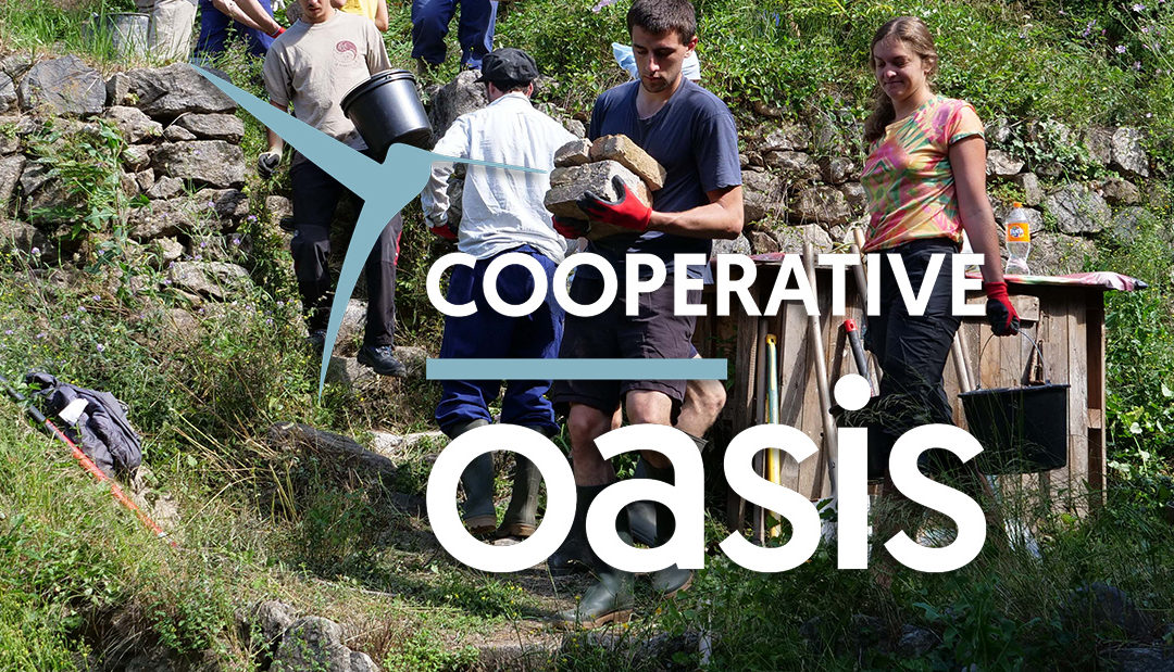 Cooperative Oasis